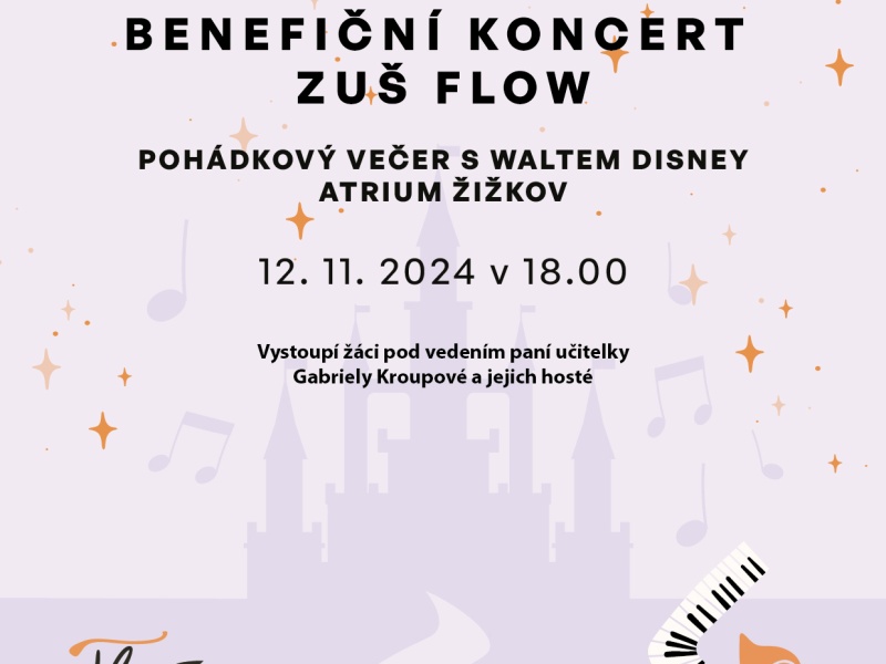 Benefiční koncert ZUŠ Flow